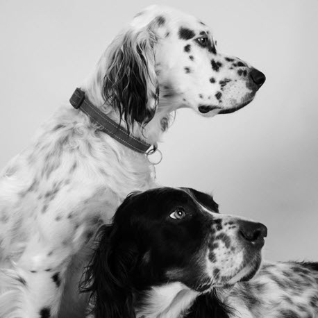 Krystal & Darby