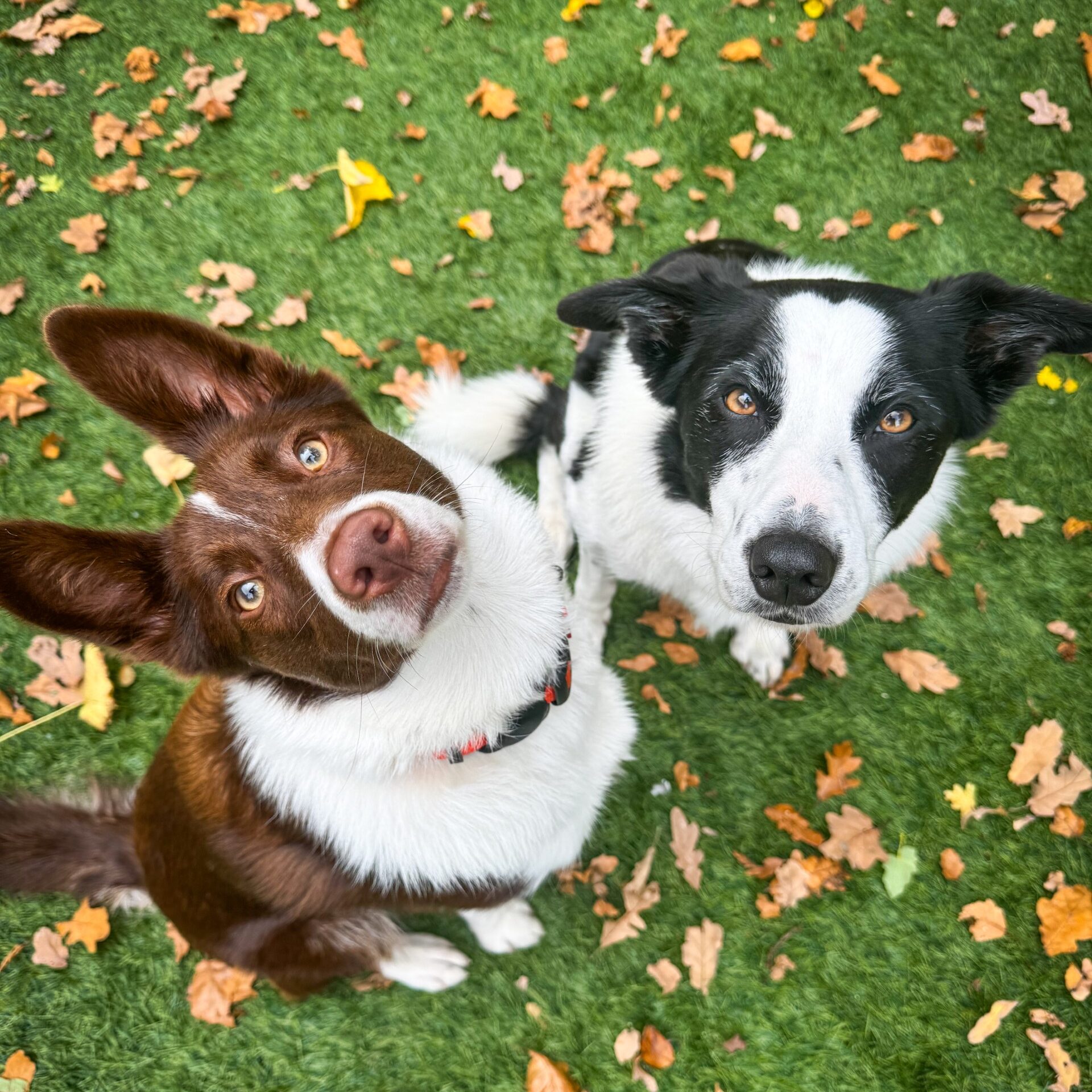 Skye & Yuna